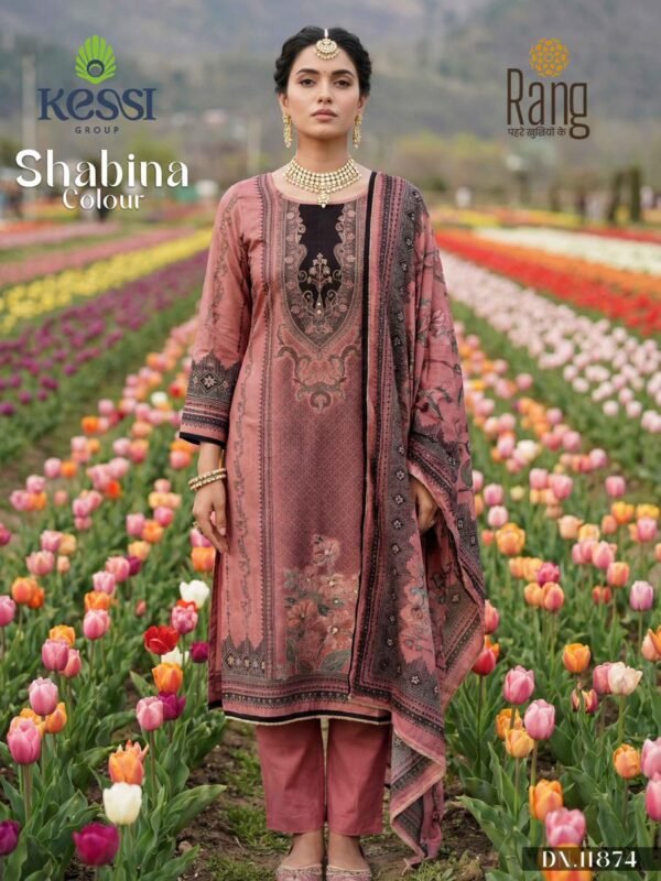 SHABINA COLOUR RANG KESSI