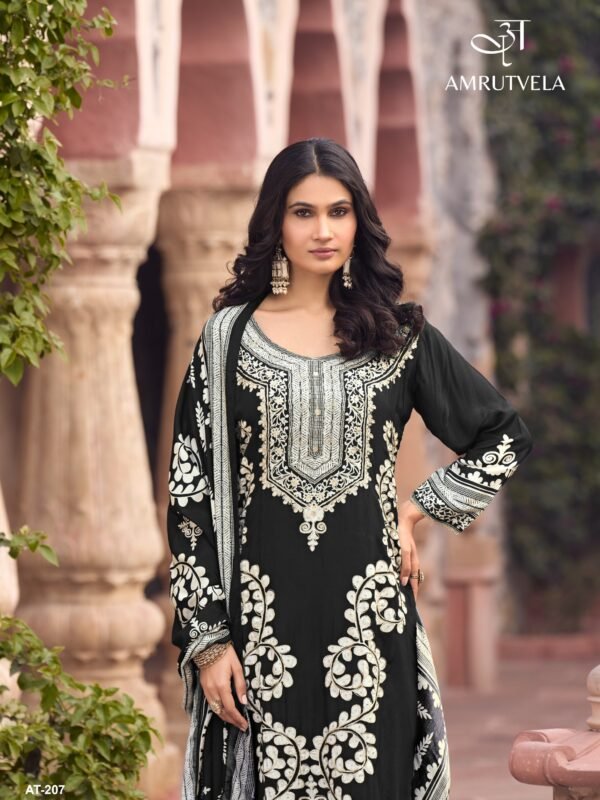 AMRUTVELA AT 207 EF